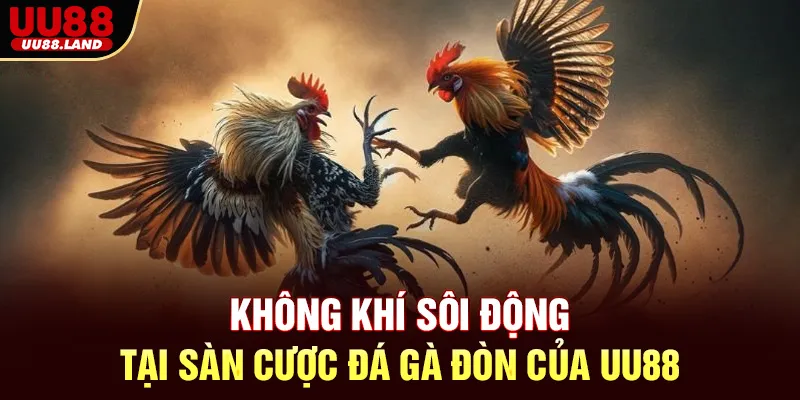 Không khí sôi động tại sàn cược Đá Gà Đòn của UU88