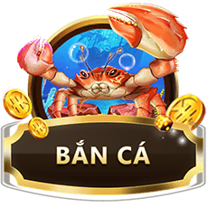 Hình ảnh Hover